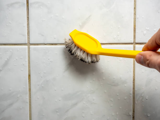 Best Office Mold Removal Services  in Lton, IN