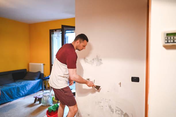 Best Mold Damage Repair  in Lton, IN